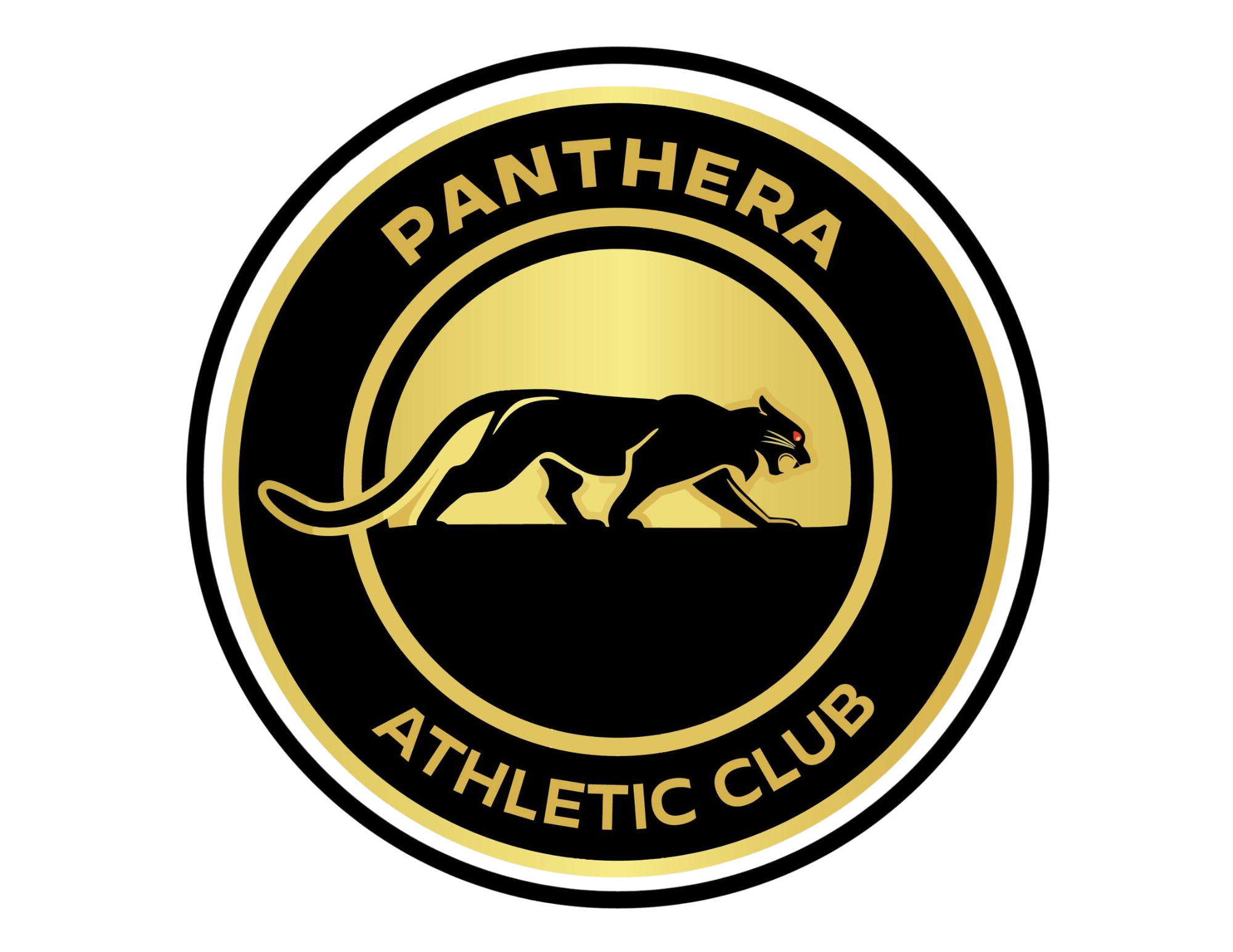 Main Logo