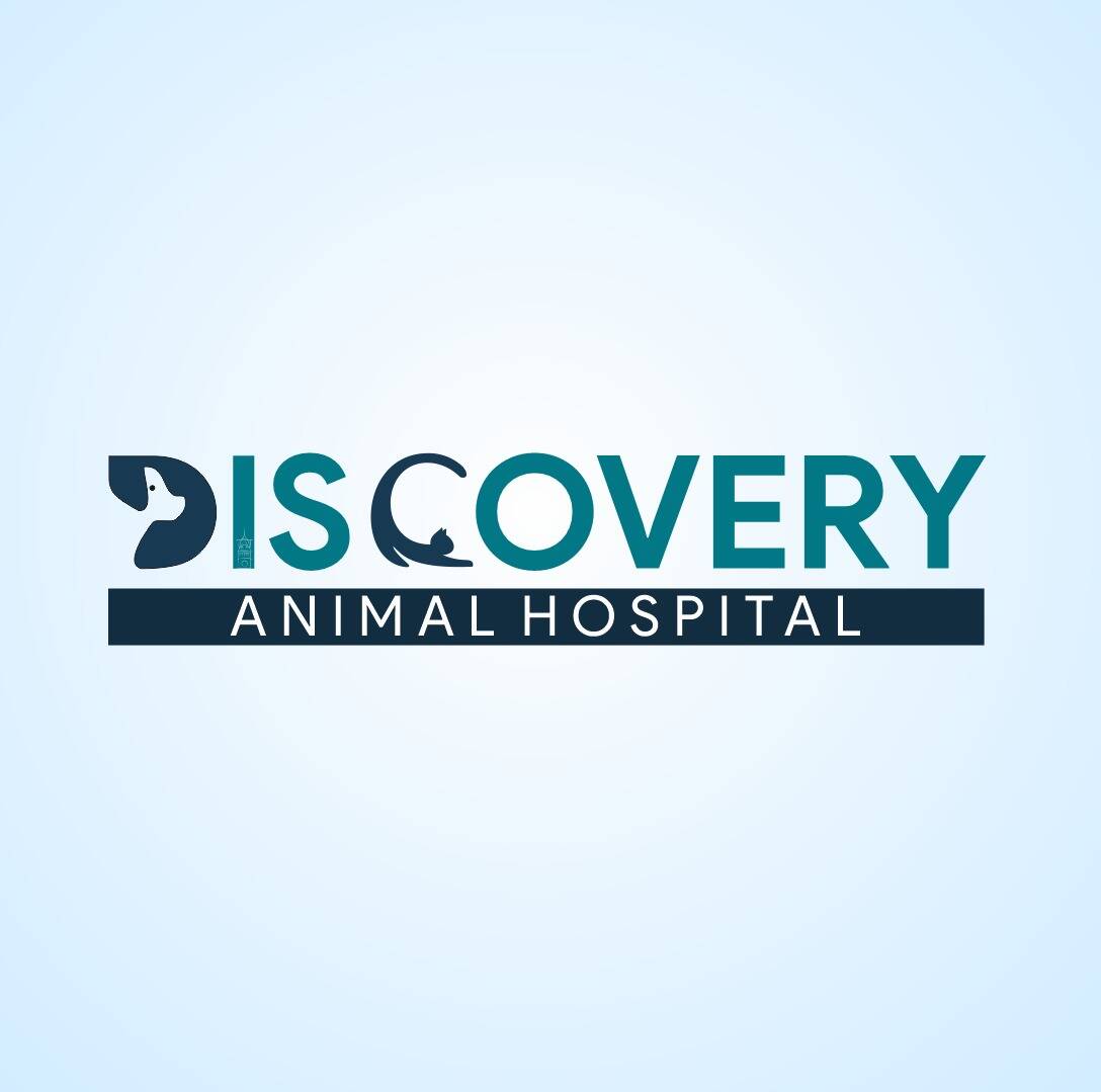 Discovery Animal Hospital
